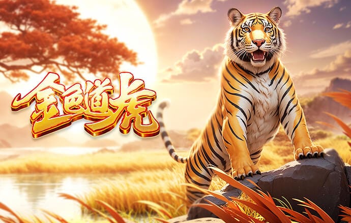 大雨中含泪告别！38岁帕耶宣布退役：我的冒险结束了，感谢所有人